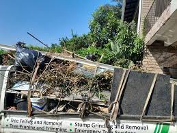 Trusted Encinal, TX Junk Removal Services Experts