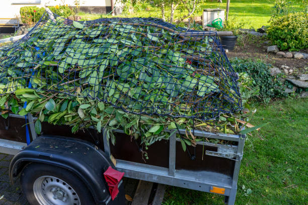 Best Shed Removal  in Encinal, TX